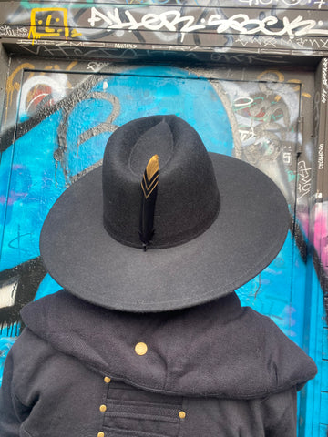 Demi lunar feather hat